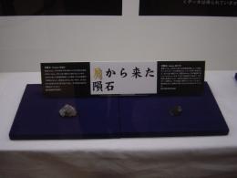 �����痈�������